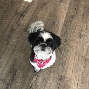 Meet your Posher, Ashley